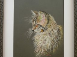 Katze  pastellbild
